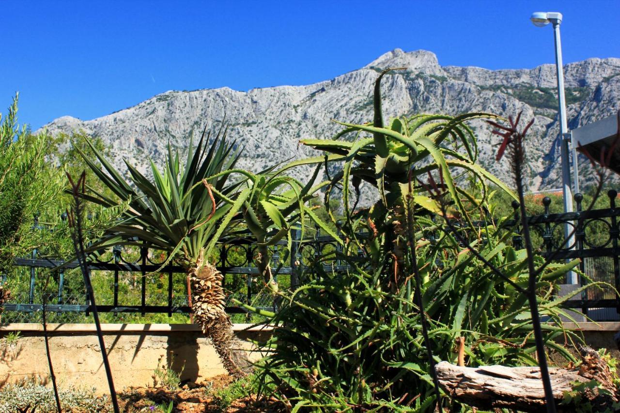 Apartments With A Parking Space Orebic, Peljesac - 10157 Экстерьер фото